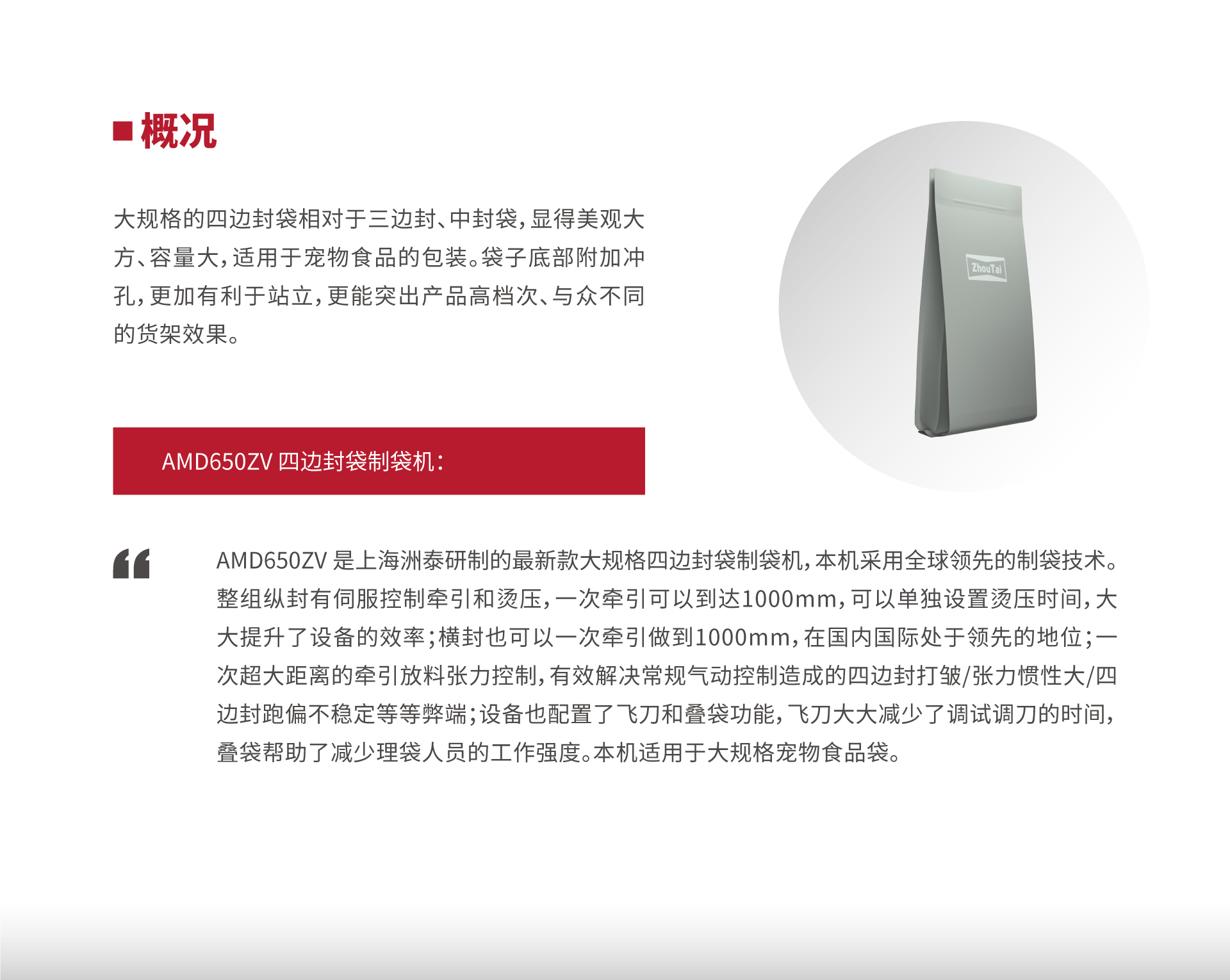 AMD650ZV01.jpg